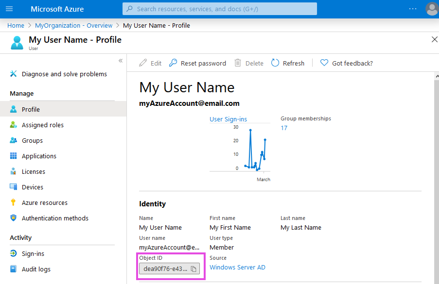 Object ID in Identity section